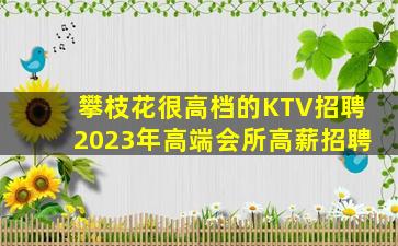 攀枝花很高档的KTV招聘2023年高端会所高薪招聘